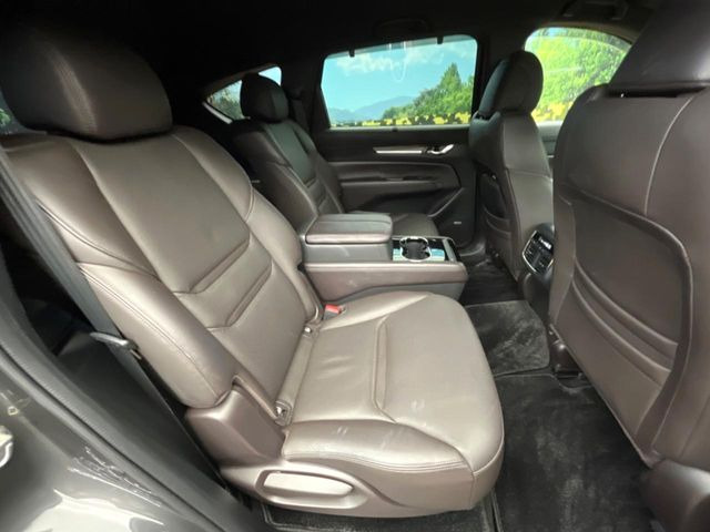 �㕔���Ȃ��C�ɂȂ�悤�ȃL�Y�E�����ւ��蓙�A�傫�ȃ_���[�W�͂Ȃ��A�ǍD�ȏ�Ԃł��B