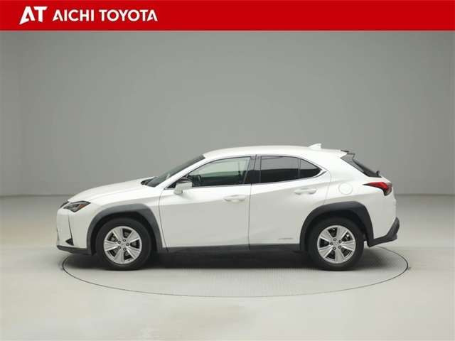 UX250h バージョンC