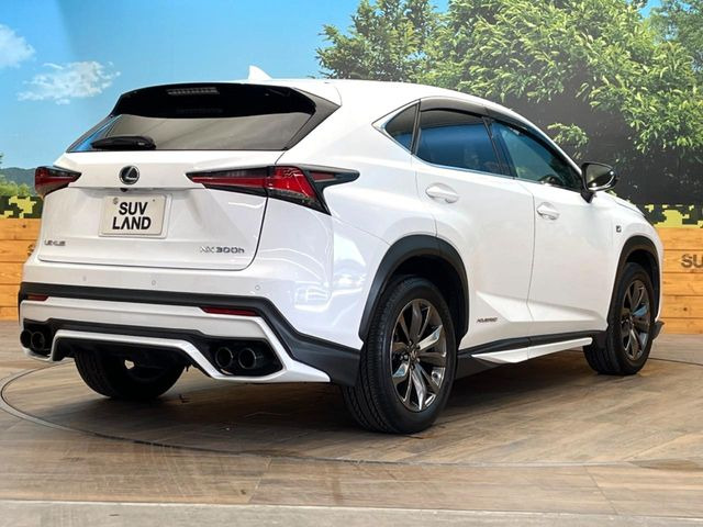 ���S���̃l�N�X�e�[�W���炨���񂹂��\��!�����̓X�܂ɓW�����Ă���N���}���C�ɂȂ�ꍇ���A�Ŋ��̓X�܂ł��������������Ƃ��\�ł�!���񎄂����ɗv�]������������������!���ʓr��p