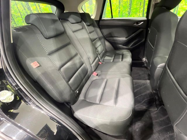 �㕔���Ȃ��C�ɂȂ�悤�ȃL�Y�E�����ւ��蓙�A�傫�ȃ_���[�W�͂Ȃ��A�ǍD�ȏ�Ԃł��B