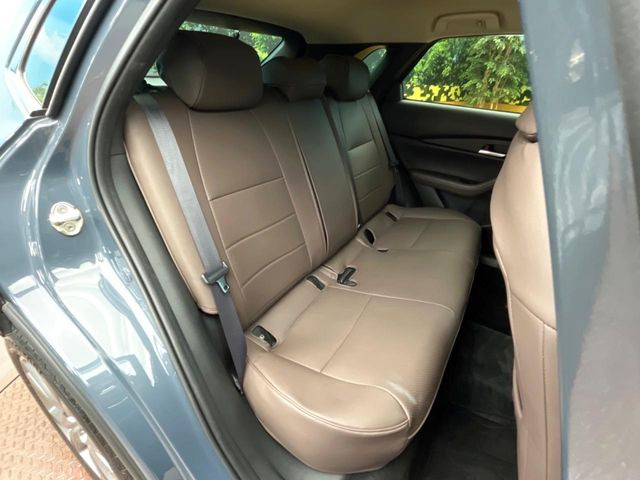 �㕔���Ȃ��C�ɂȂ�悤�ȃL�Y�E�����ւ��蓙�A�傫�ȃ_���[�W�͂Ȃ��A�ǍD�ȏ�Ԃł��B