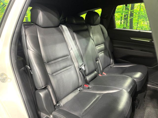 �㕔���Ȃ��C�ɂȂ�悤�ȃL�Y�E�����ւ��蓙�A�傫�ȃ_���[�W�͂Ȃ��A�ǍD�ȏ�Ԃł��B