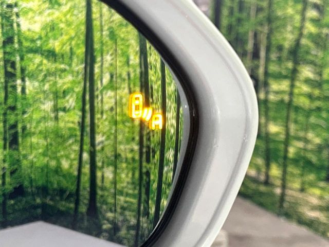 �y�u���C���h�X�|�b�g���j�^�[�z���s���A�h�A�~���[�̎��p�ɂȂ�₷���ӏ��Ɍ㑱�Ԃ��ڋ߂���ƃT�C�h�~���[�̃����Y�Ɍx����\��!�h���C�o�[�ɒ��ӊ��N�����Ă���܂��B