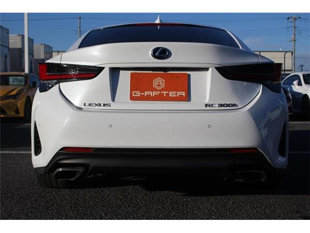 ���Ǝҗl�ւ̔̔��͂��f�肳���Ă��������܂��B �Ԍ������ԗ��̏ꍇ�́A�Ԍ����擾�������x�������z�ŕ\�����Ă���܂��B