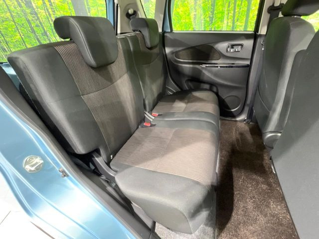 �㕔���Ȃ��C�ɂȂ�悤�ȃL�Y�E�����ւ��蓙�A�傫�ȃ_���[�W�͂Ȃ��A�ǍD�ȏ�Ԃł��B