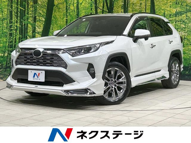 RAV4(トヨタ) 2.0 G Zパッケージ 4WD 中古車画像
