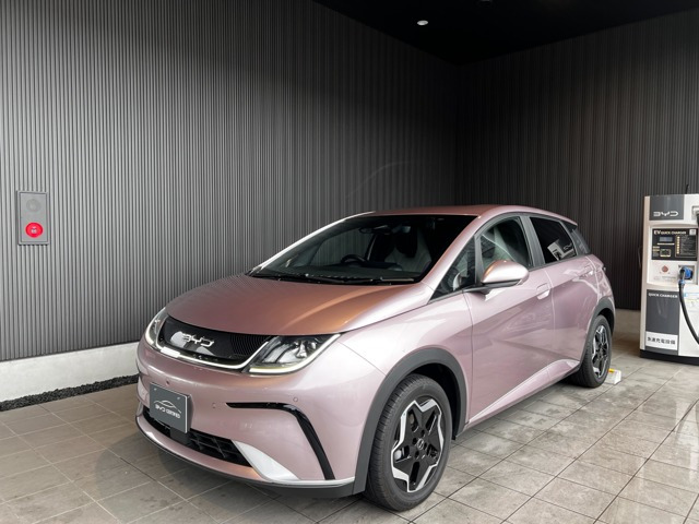 ドルフィンベースライン