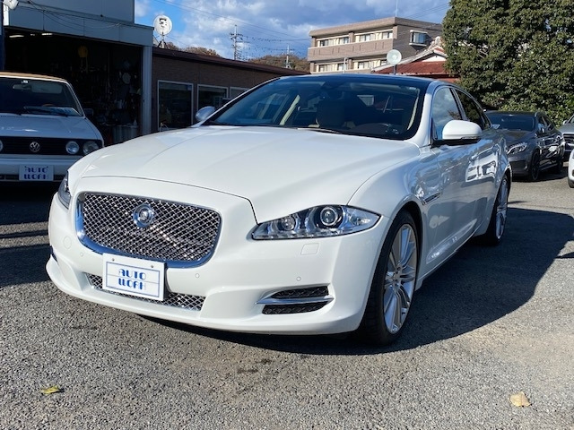 XJXJ プレミアム ラグジュアリー