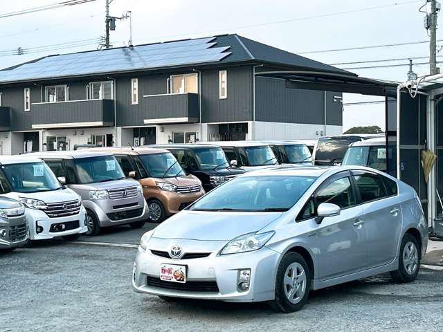 �y39.8���X�J�[�Y�̎��q���������������A���ɂ��肪�Ƃ��������܂��B���������S�s���c1186-7TEL:0942-73-6060�܂ł��⍇����������