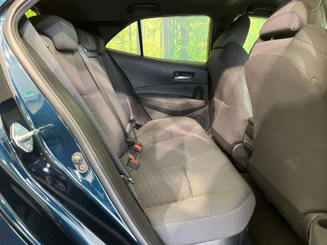 �㕔���Ȃ��C�ɂȂ�悤�ȃL�Y�E�����ւ��蓙�A�傫�ȃ_���[�W�͂Ȃ��A�ǍD�ȏ�Ԃł��B