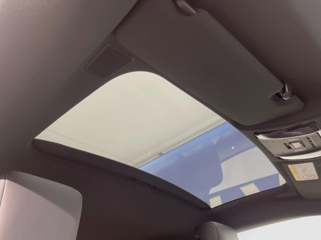 ���p�m���}�~�b�N�K���X���[�t:�唗�͂̃p�m���}���[�t�́A�㕔���Ȃɂ܂ő����Ă���A�J���I�ȋ�Ԃ����y���݂��������܂��B