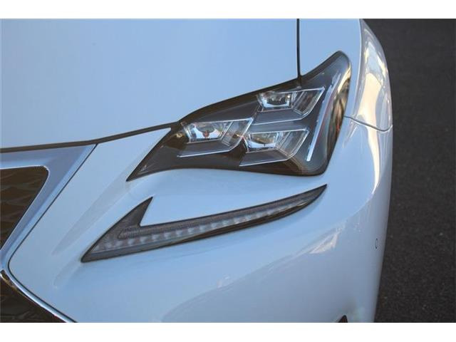 ���Ǝҗl�ւ̔̔��͂��f�肳���Ă��������܂��B �Ԍ������ԗ��̏ꍇ�́A�Ԍ����擾�������x�������z�ŕ\�����Ă���܂��B