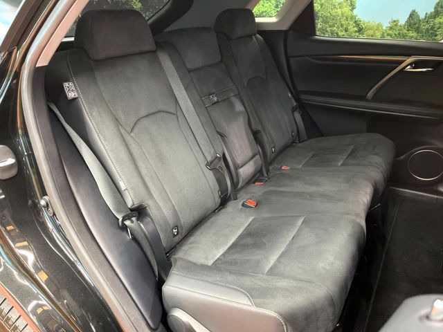 �㕔���Ȃ��C�ɂȂ�悤�ȃL�Y�E�����ւ��蓙�A�傫�ȃ_���[�W�͂Ȃ��A�ǍD�ȏ�Ԃł��B