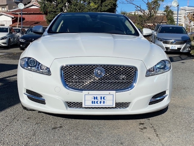 XJXJ プレミアム ラグジュアリー