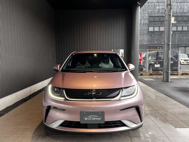 ドルフィンベースライン