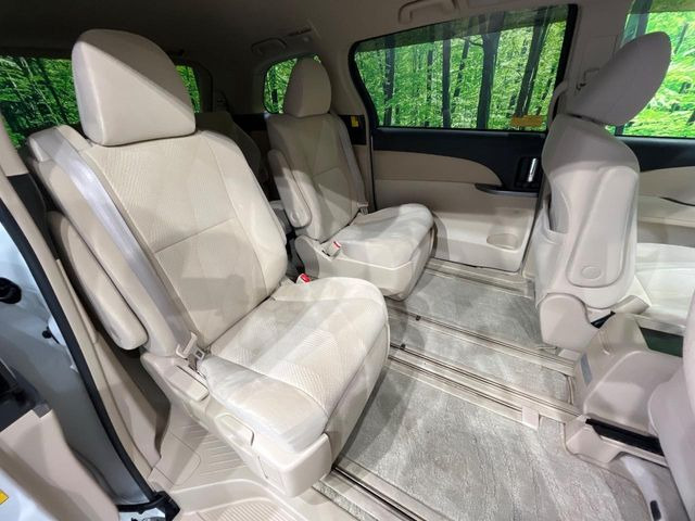 �㕔���Ȃ��C�ɂȂ�悤�ȃL�Y�E�����ւ��蓙�A�傫�ȃ_���[�W�͂Ȃ��A�ǍD�ȏ�Ԃł��B