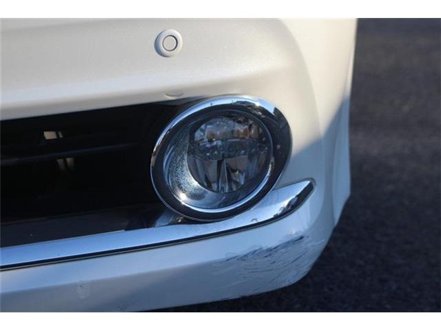 �����X�o���Ȃ����q�l�A���Ǝҗl�ւ̔̔��͂��f�肳���Ă��������܂��B�Ԍ������ԗ��̏ꍇ�́A�Ԍ����擾�������x�������z�ŕ\�����Ă���܂��B