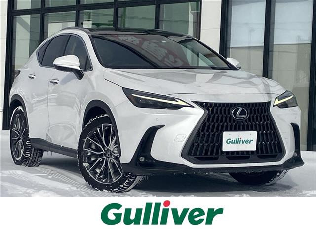 NX250 バージョンL 4WD