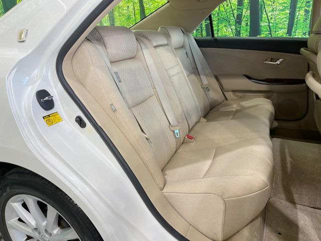 �㕔���Ȃ��C�ɂȂ�悤�ȃL�Y�E�����ւ��蓙�A�傫�ȃ_���[�W�͂Ȃ��A�ǍD�ȏ�Ԃł��B