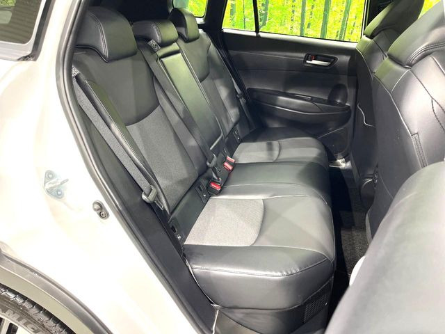 �㕔���Ȃ��C�ɂȂ�悤�ȃL�Y�E�����ւ��蓙�A�傫�ȃ_���[�W�͂Ȃ��A�ǍD�ȏ�Ԃł��B