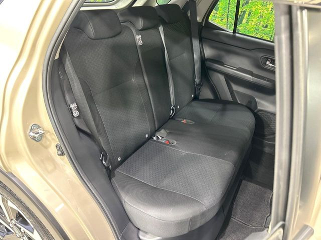 �㕔���Ȃ��C�ɂȂ�悤�ȃL�Y�E�����ւ��蓙�A�傫�ȃ_���[�W�͂Ȃ��A�ǍD�ȏ�Ԃł��B