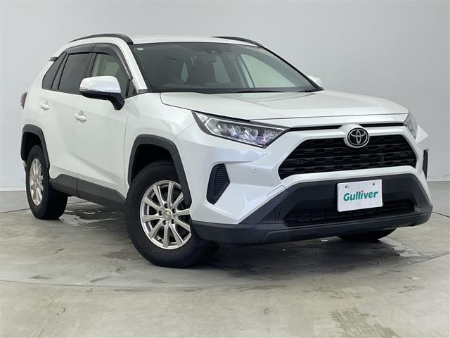 RAV42.0 X