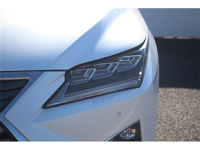 ���Ǝҗl�ւ̔̔��͂��f�肳���Ă��������܂��B �Ԍ������ԗ��̏ꍇ�́A�Ԍ����擾�������x�������z�ŕ\�����Ă���܂��B