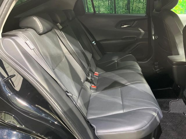 �㕔���Ȃ��C�ɂȂ�悤�ȃL�Y�E�����ւ��蓙�A�傫�ȃ_���[�W�͂Ȃ��A�ǍD�ȏ�Ԃł��B