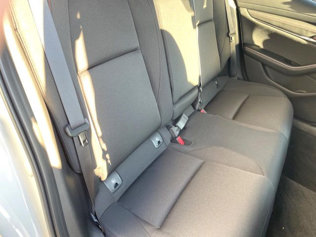 �㕔���Ȃ��C�ɂȂ�悤�ȃL�Y�E�����ւ��蓙�A�傫�ȃ_���[�W�͂Ȃ��A�ǍD�ȏ�Ԃł��B