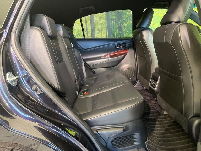 �㕔���Ȃ��C�ɂȂ�悤�ȃL�Y�E�����ւ��蓙�A�傫�ȃ_���[�W�͂Ȃ��A�ǍD�ȏ�Ԃł��B