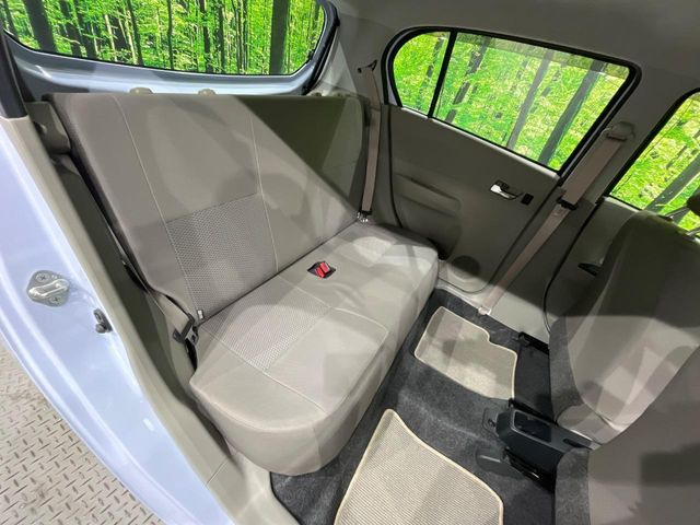 �㕔���Ȃ��C�ɂȂ�悤�ȃL�Y�E�����ւ��蓙�A�傫�ȃ_���[�W�͂Ȃ��A�ǍD�ȏ�Ԃł��B