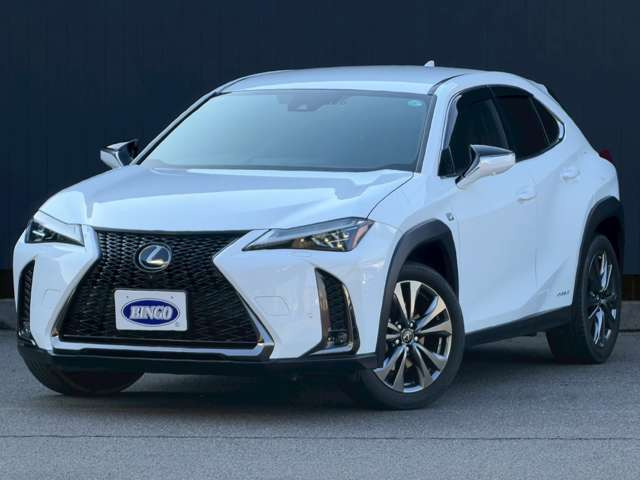 �����X�������ۂɌ��Ԃ����m�F��������!!���ĐG���ā��[����1������񋟒v���܂���� �܂��́A���C�y�ɂ��⍇�������c