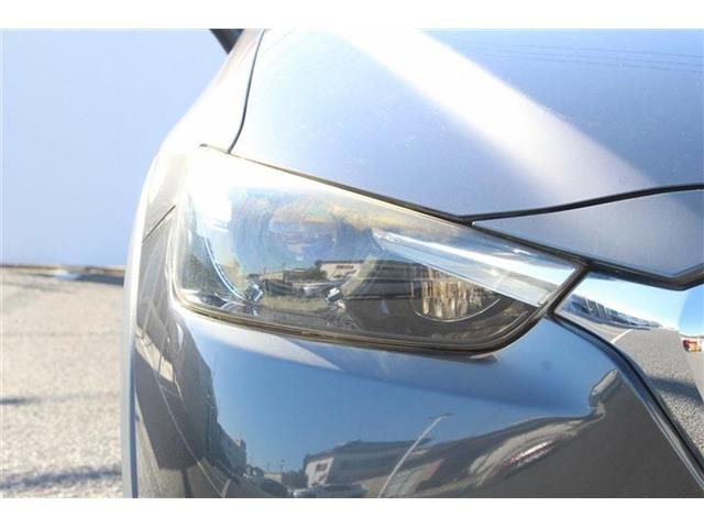 ���Ǝҗl�ւ̔̔��͂��f�肳���Ă��������܂��B �Ԍ������ԗ��̏ꍇ�́A�Ԍ����擾�������x�������z�ŕ\�����Ă���܂��B