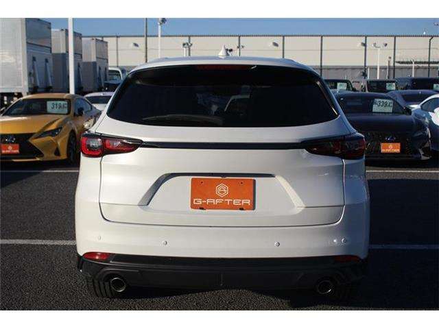 ���Ǝҗl�ւ̔̔��͂��f�肳���Ă��������܂��B �Ԍ������ԗ��̏ꍇ�́A�Ԍ����擾�������x�������z�ŕ\�����Ă���܂��B