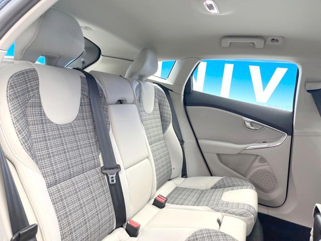 ���㕔���Ȃ��C�ɂȂ�悤�ȃL�Y�E�����ւ��蓙�A�傫�ȃ_���[�W�͂Ȃ��A�ǍD�ȏ�Ԃł��B