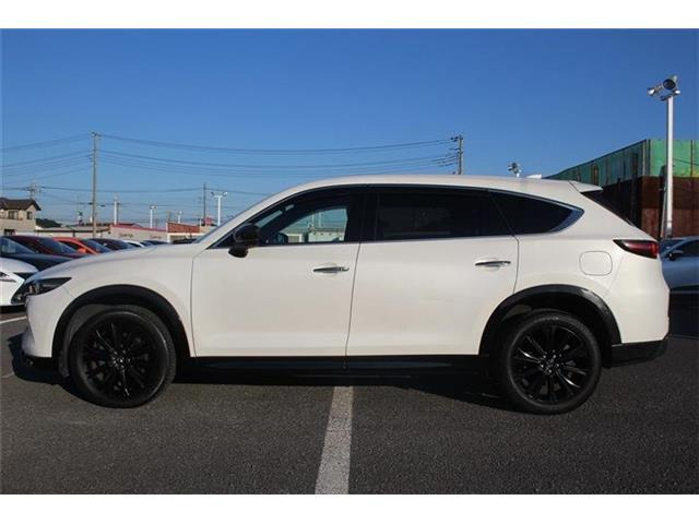 ���Ǝҗl�ւ̔̔��͂��f�肳���Ă��������܂��B �Ԍ������ԗ��̏ꍇ�́A�Ԍ����擾�������x�������z�ŕ\�����Ă���܂��B