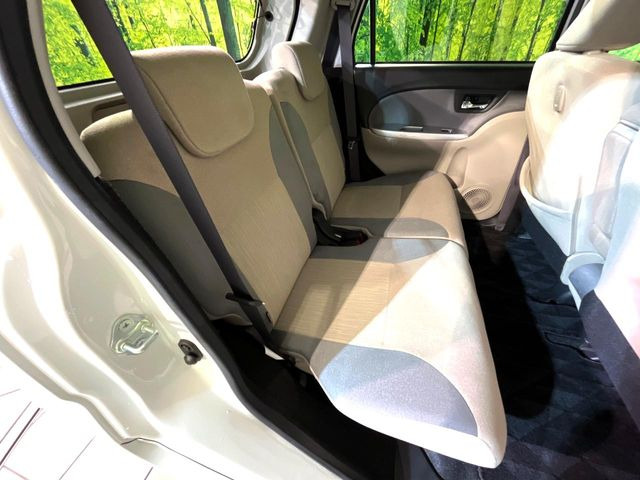 �㕔���Ȃ��C�ɂȂ�悤�ȃL�Y�E�����ւ��蓙�A�傫�ȃ_���[�W�͂Ȃ��A�ǍD�ȏ�Ԃł��B