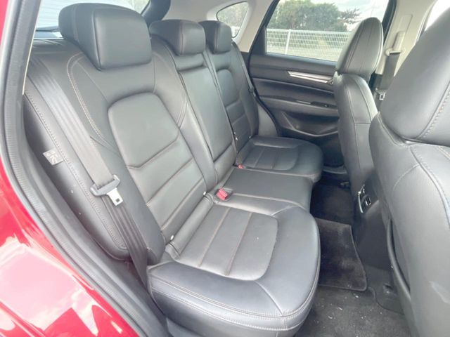 �㕔���Ȃ��C�ɂȂ�悤�ȃL�Y�E�����ւ��蓙�A�傫�ȃ_���[�W�͂Ȃ��A�ǍD�ȏ�Ԃł��B