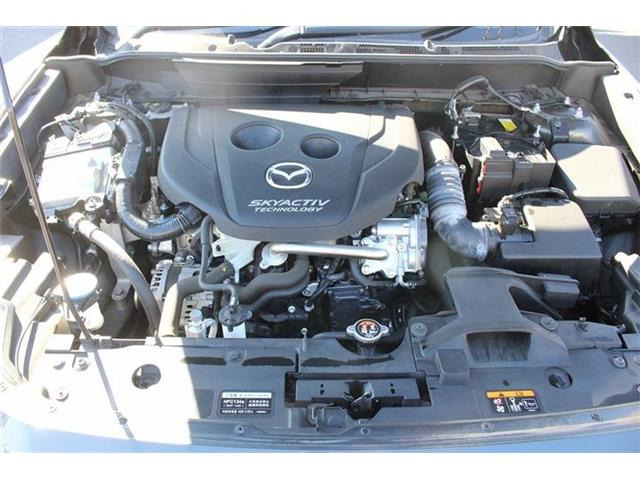 ���Ǝҗl�ւ̔̔��͂��f�肳���Ă��������܂��B �Ԍ������ԗ��̏ꍇ�́A�Ԍ����擾�������x�������z�ŕ\�����Ă���܂��B