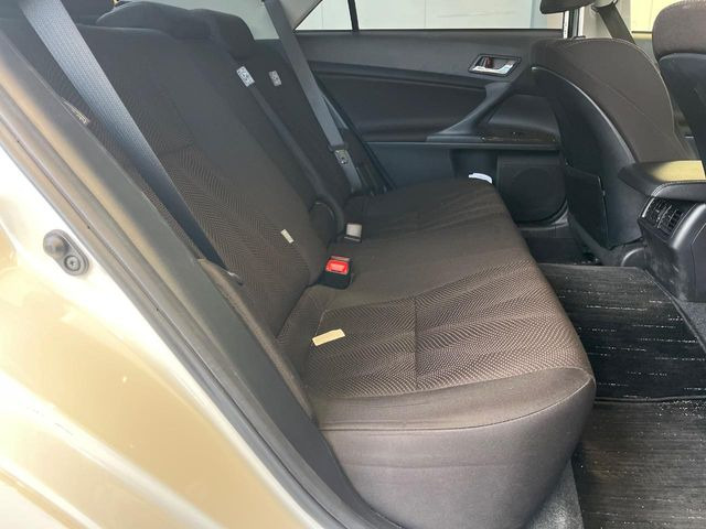 �㕔���Ȃ��C�ɂȂ�悤�ȃL�Y�E�����ւ��蓙�A�傫�ȃ_���[�W�͂Ȃ��A�ǍD�ȏ�Ԃł��B