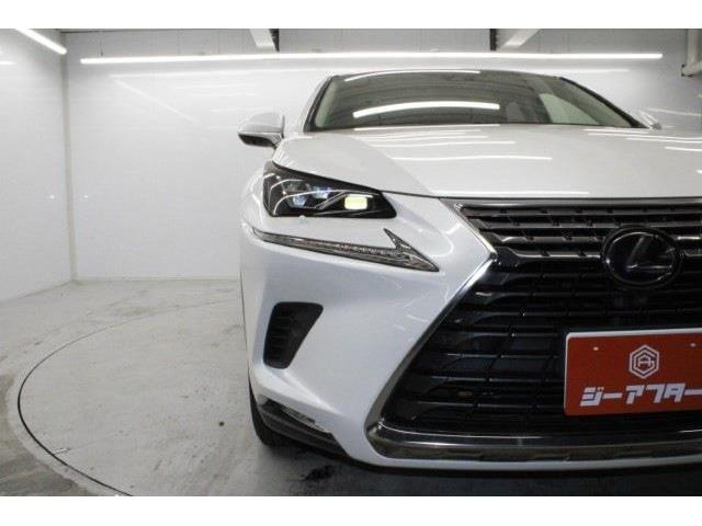 ���Ǝҗl�ւ̔̔��͂��f�肳���Ă��������܂��B �Ԍ������ԗ��̏ꍇ�́A�Ԍ����擾�������x�������z�ŕ\�����Ă���܂��B