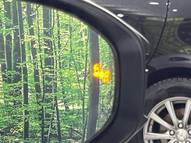 �y�u���C���h�X�|�b�g���j�^�[�z���s���A�h�A�~���[�̎��p�ɂȂ�₷���ӏ��Ɍ㑱�Ԃ��ڋ߂���ƃT�C�h�~���[�̃����Y�Ɍx����\��!�h���C�o�[�ɒ��ӊ��N�����Ă���܂��B