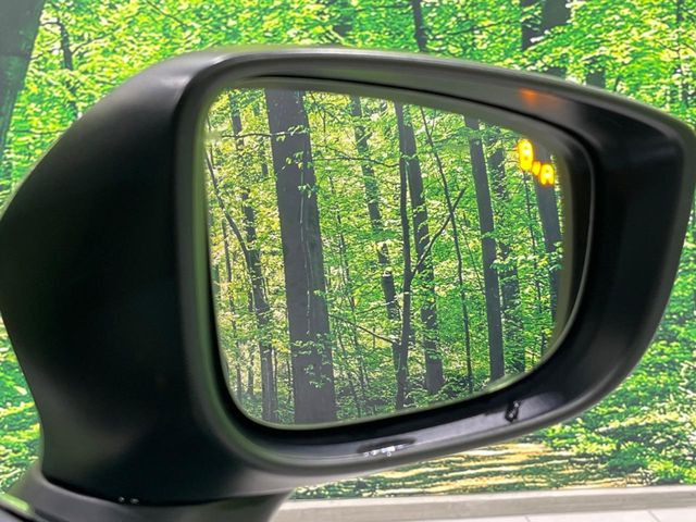 �y�u���C���h�X�|�b�g���j�^�����O�z���s���A�h�A�~���[�̎��p�ɂȂ�₷���ӏ��Ɍ㑱�Ԃ��ڋ߂���ƃT�C�h�~���[�t�߂Ɍx����\���A�h���C�o�[�ɒ��ӊ��N�����Ă���܂��B