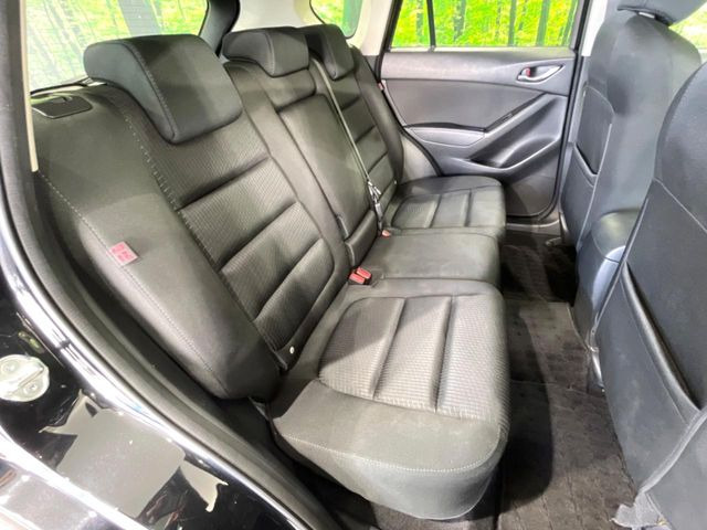 �㕔���Ȃ��C�ɂȂ�悤�ȃL�Y�E�����ւ��蓙�A�傫�ȃ_���[�W�͂Ȃ��A�ǍD�ȏ�Ԃł��B