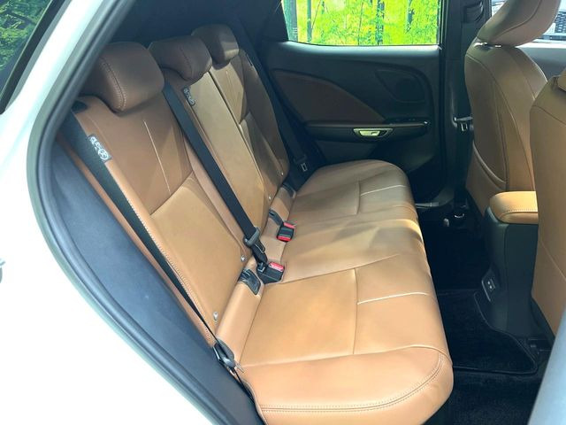 �㕔���Ȃ��C�ɂȂ�悤�ȃL�Y�E�����ւ��蓙�A�傫�ȃ_���[�W�͂Ȃ��A�ǍD�ȏ�Ԃł��B