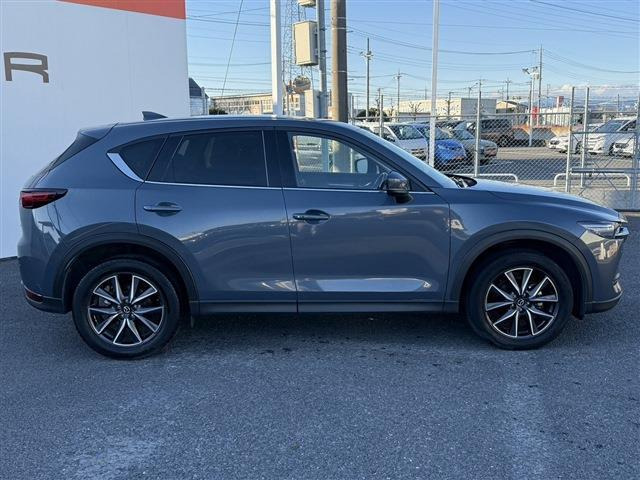 ���Ǝҗl�ւ̔̔��͂��f�肳���Ă��������܂��B �Ԍ������ԗ��̏ꍇ�́A�Ԍ����擾�������x�������z�ŕ\�����Ă���܂��B