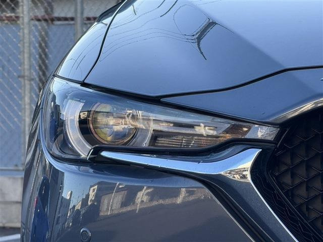 ���Ǝҗl�ւ̔̔��͂��f�肳���Ă��������܂��B �Ԍ������ԗ��̏ꍇ�́A�Ԍ����擾�������x�������z�ŕ\�����Ă���܂��B