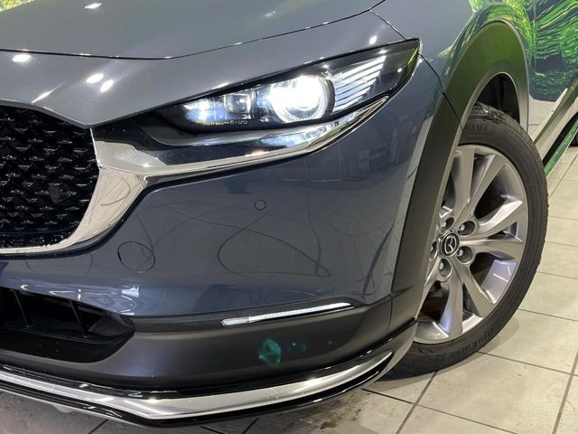 �yLED�w�b�h���C�g�z���V����ԑ��s�����ǍD�Ȏ��E���m�ۂ����S���ĉ^�]�ł��鍂�P�xLED�w�b�h���C�g�𑕔�!�_�����x�������A����d�͂��}�����Ă��܂��B