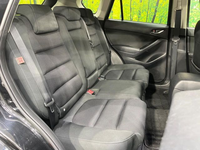 �㕔���Ȃ��C�ɂȂ�悤�ȃL�Y�E�����ւ��蓙�A�傫�ȃ_���[�W�͂Ȃ��A�ǍD�ȏ�Ԃł��B