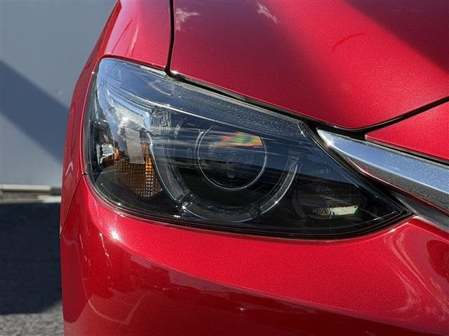 ���Ǝҗl�ւ̔̔��͂��f�肳���Ă��������܂��B �Ԍ������ԗ��̏ꍇ�́A�Ԍ����擾�������x�������z�ŕ\�����Ă���܂��B